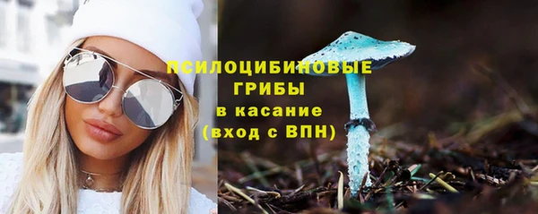 экстази Алексин