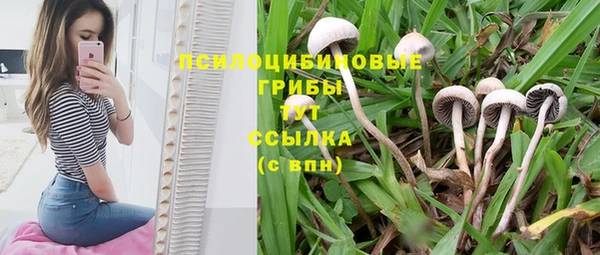 сатива Абдулино