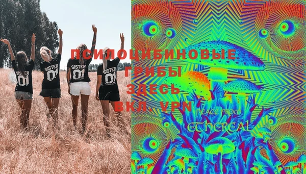 соль курить ск Алзамай